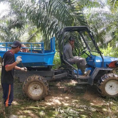 Hệ thống thủy lực Máy kéo dầu cọ cho các đồn điền dầu cọ nông nghiệp