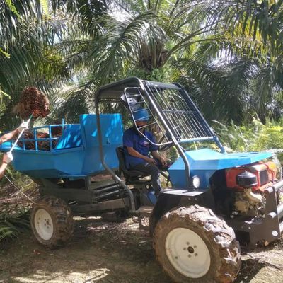 Hệ thống thủy lực Máy kéo dầu cọ cho các đồn điền dầu cọ nông nghiệp