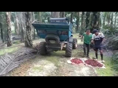 MÁY KÉO DẦU CỌ WEA08