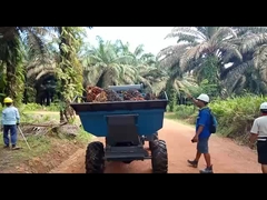 Máy thu hoạch dầu cọ Open Cab 1325mm Trọng lượng 1250kg với Grapple