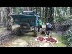 Máy thu hoạch dầu cọ Open Cab 1325mm Trọng lượng 1250kg với Grapple