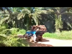 Hệ thống thủy lực Máy kéo dầu cọ để chiết xuất dầu cọ hiệu quả