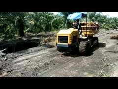 Máy kéo thủy lực mini nông nghiệp 14hp động cơ máy kéo điện cho các đồn điền dầu cọ